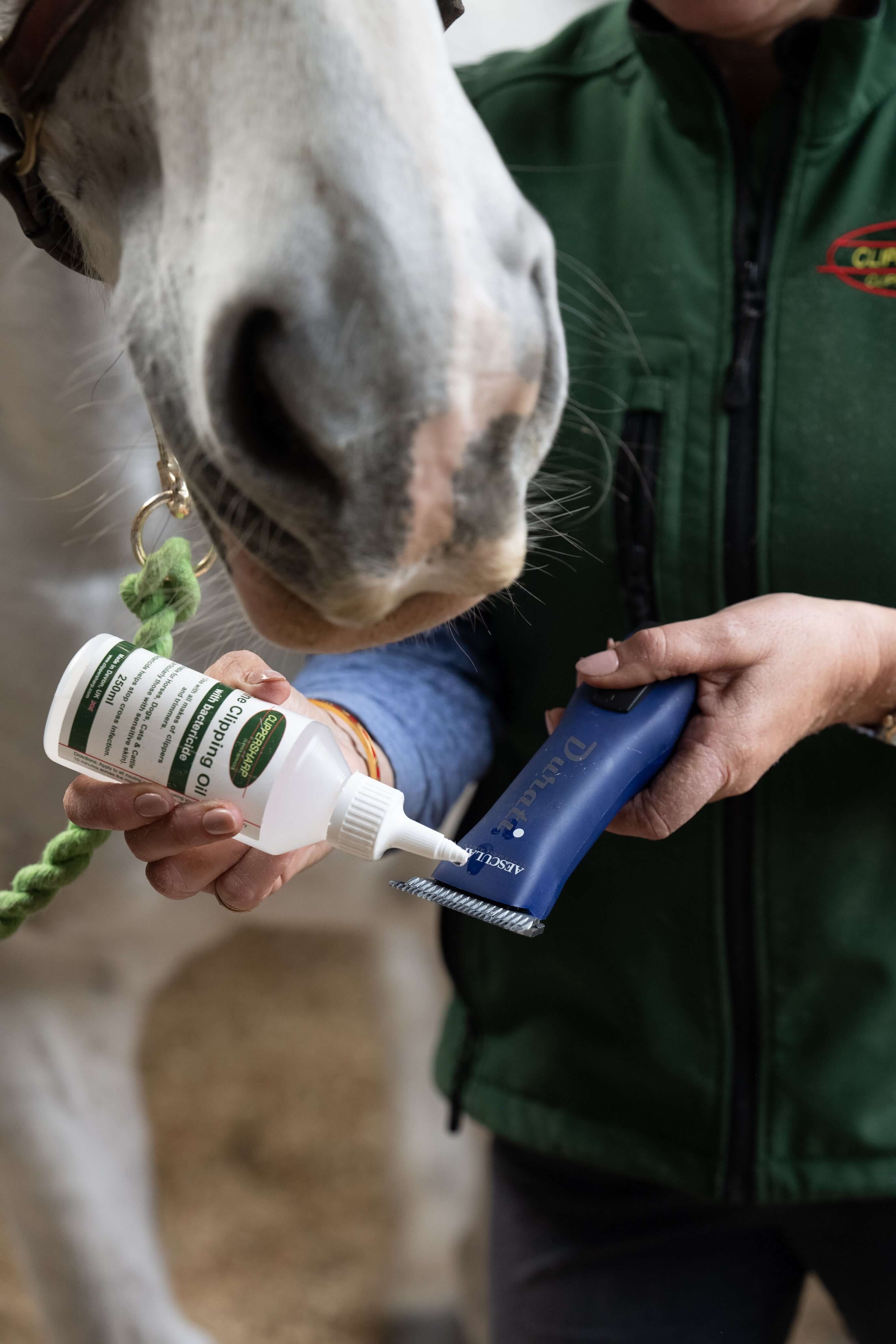 Lames De Remplacement Pour Tondeuse à Cheval Lister - 35 Dents, Carbure - Pour Chevaux, Bétail, Animaux à Fourrure épaisse - 3