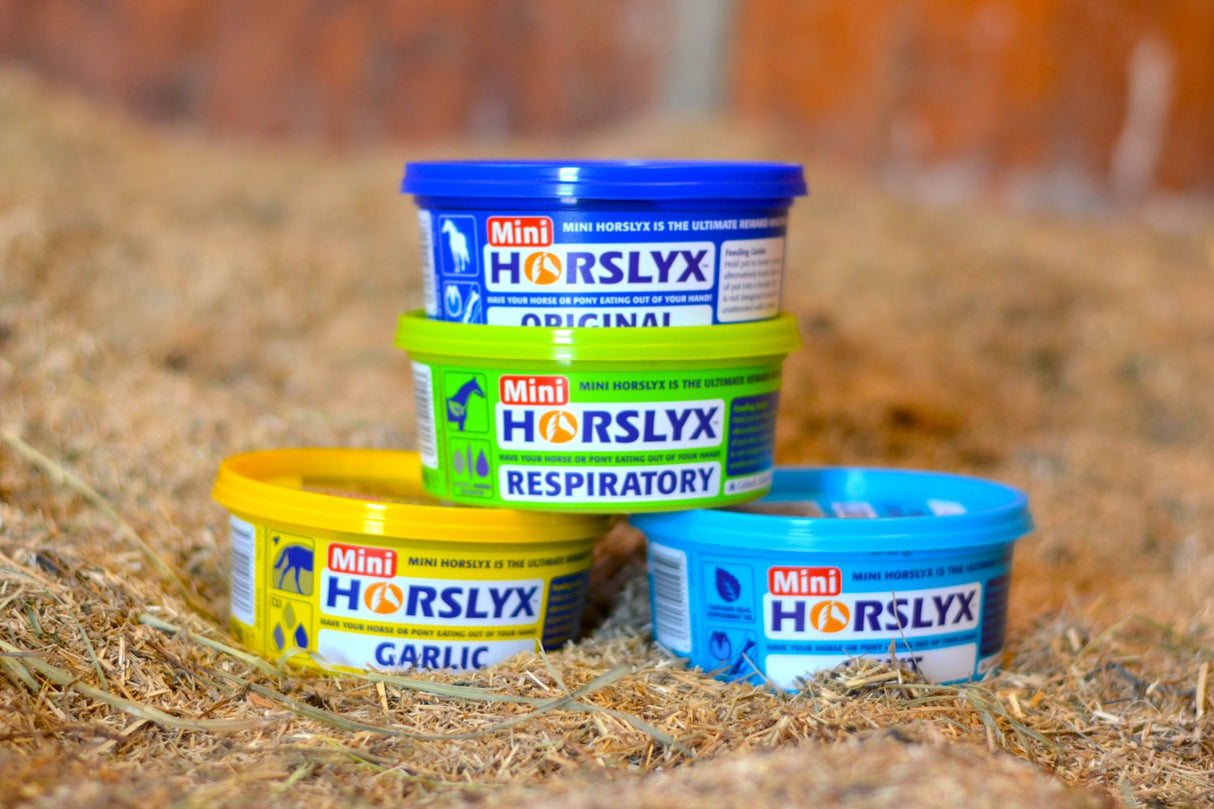 Mini Horslyx