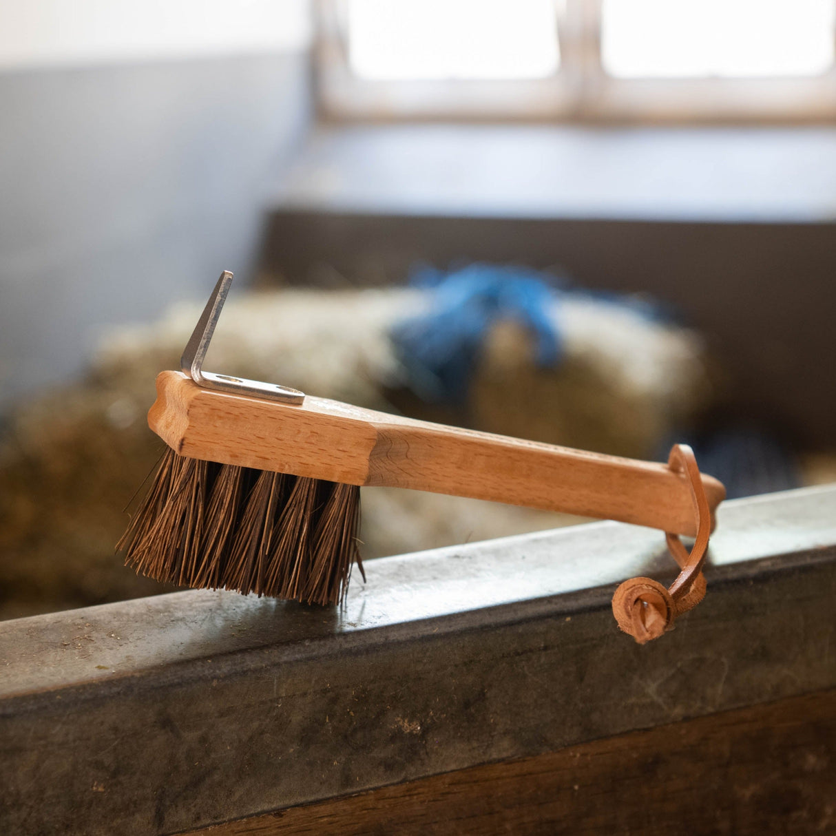 Borstiq Hoof Pick
