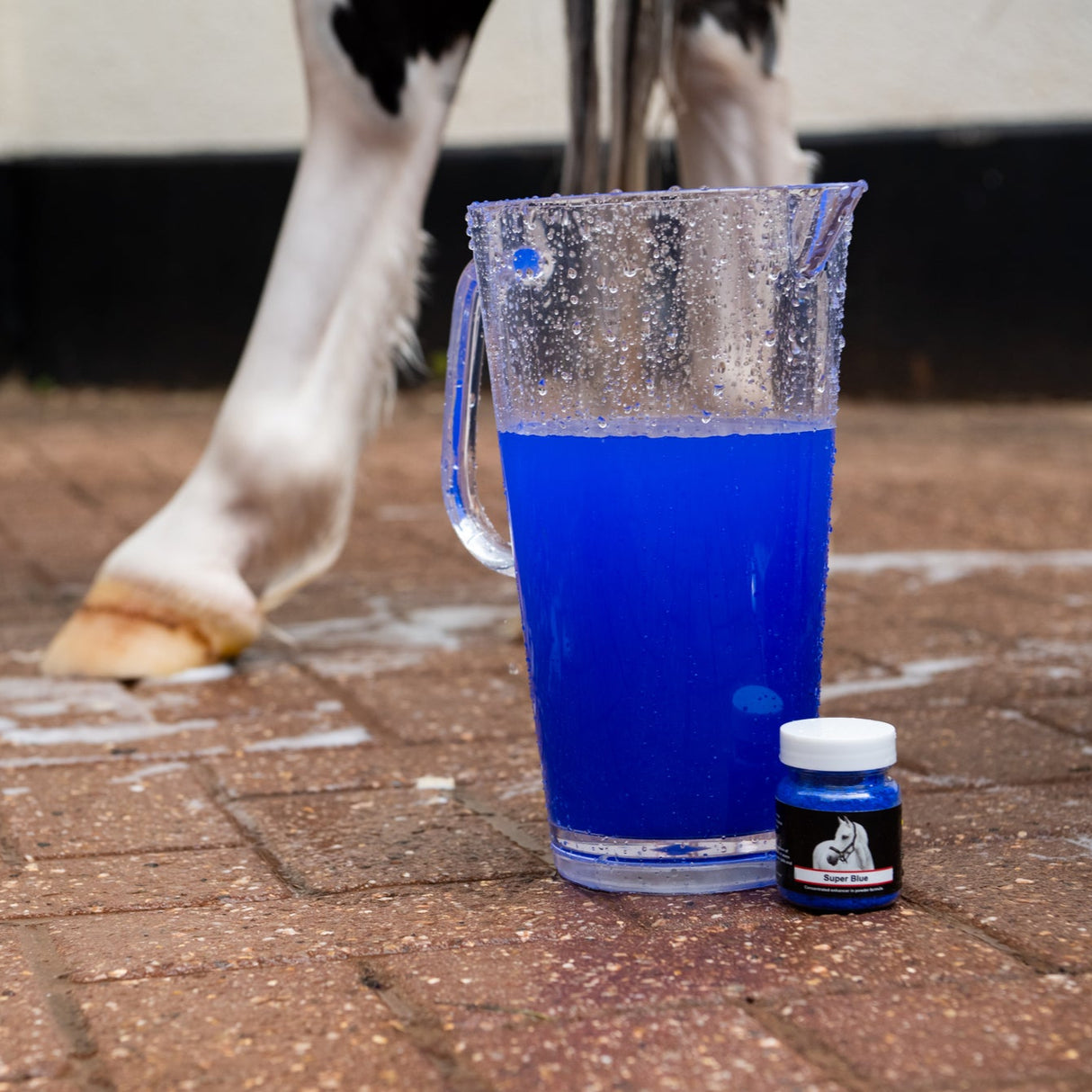 Smart Grooming Super Blue