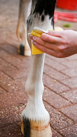 Blanchisseur de jambes et de corps Smart Grooming