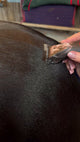 Heiniger Opal Horse