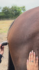 Heiniger Opal Horse