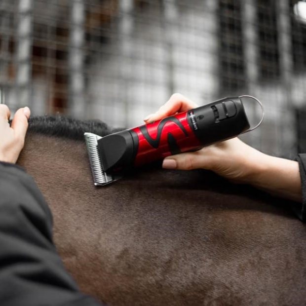 What are the best horse clippers to buy for my horse?
