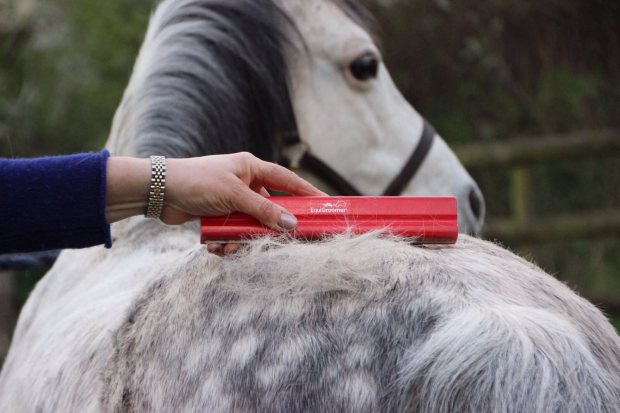 Grooming for pets and horses