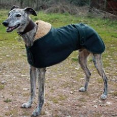 Cosi Pet Wax Hunter Greyhound Coat
