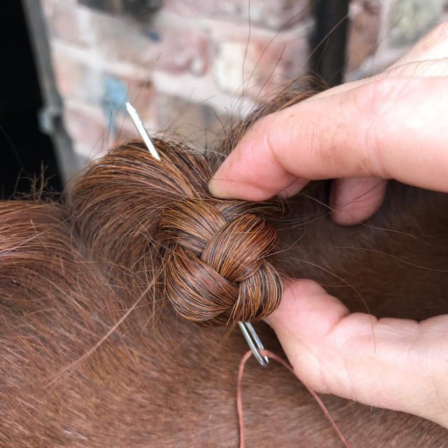 Showing Grooming Hor Plaiting Aid Wenzel Plaiting Thread Blunt Ended Needles 