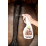 Smart Grooming Perfect Plaits Spray